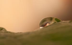 Dušan Škrlep_votka